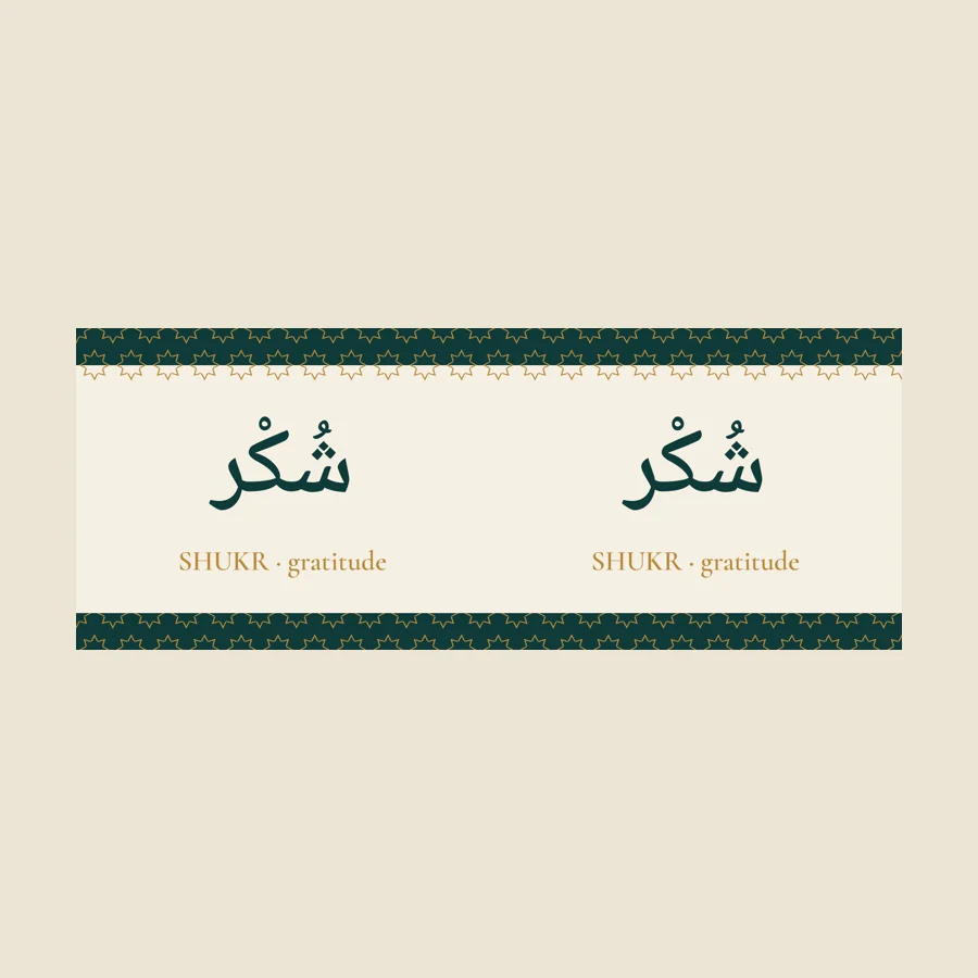 Shukr Mug artwork